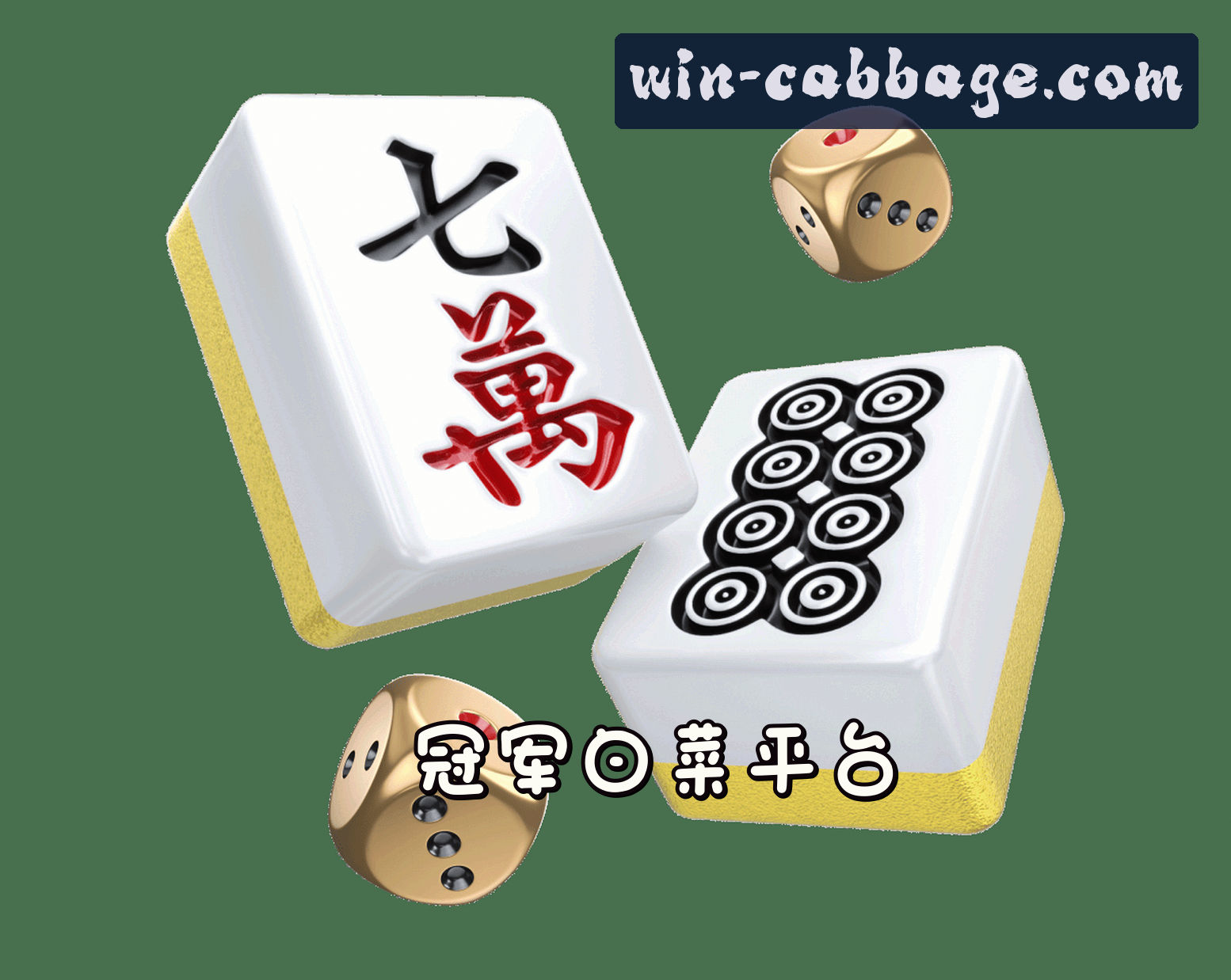 关于我们介绍